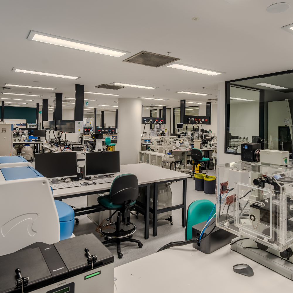 1 2025 11 16 222612 ewni