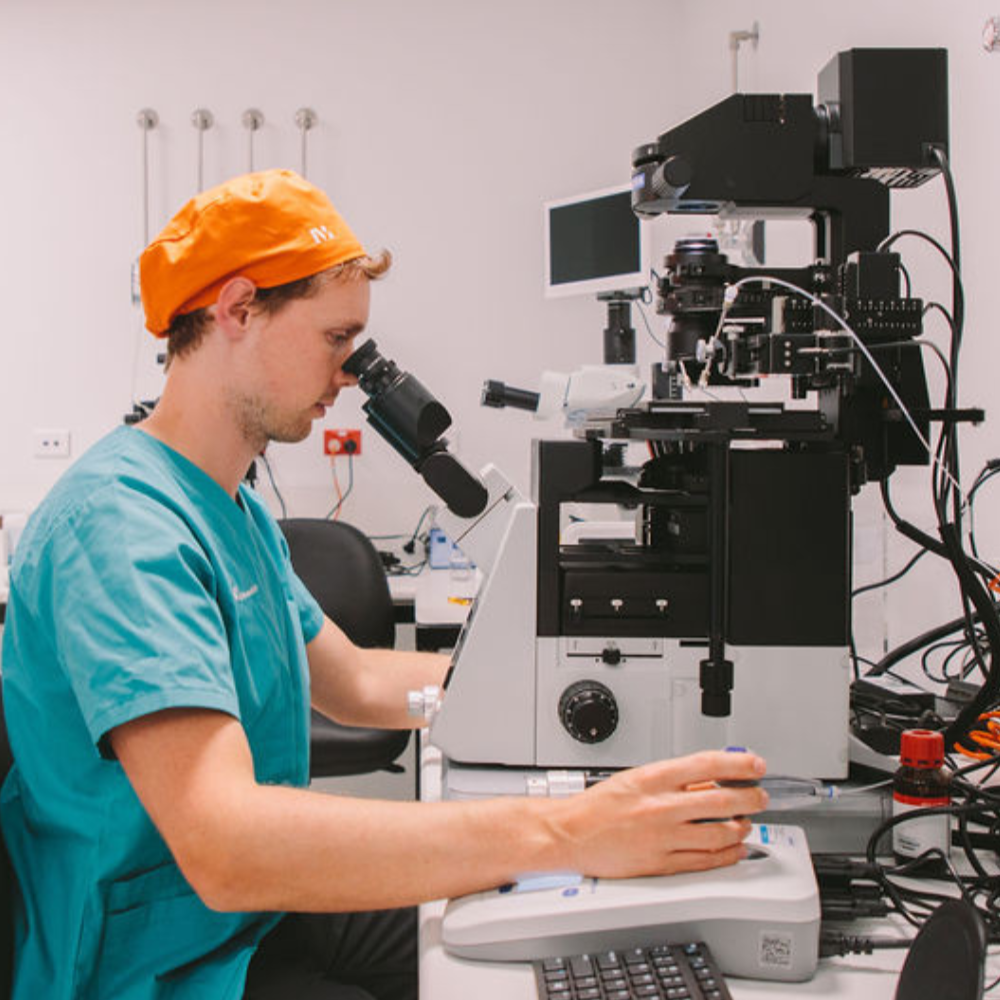 1 2025 11 17 000302 atza