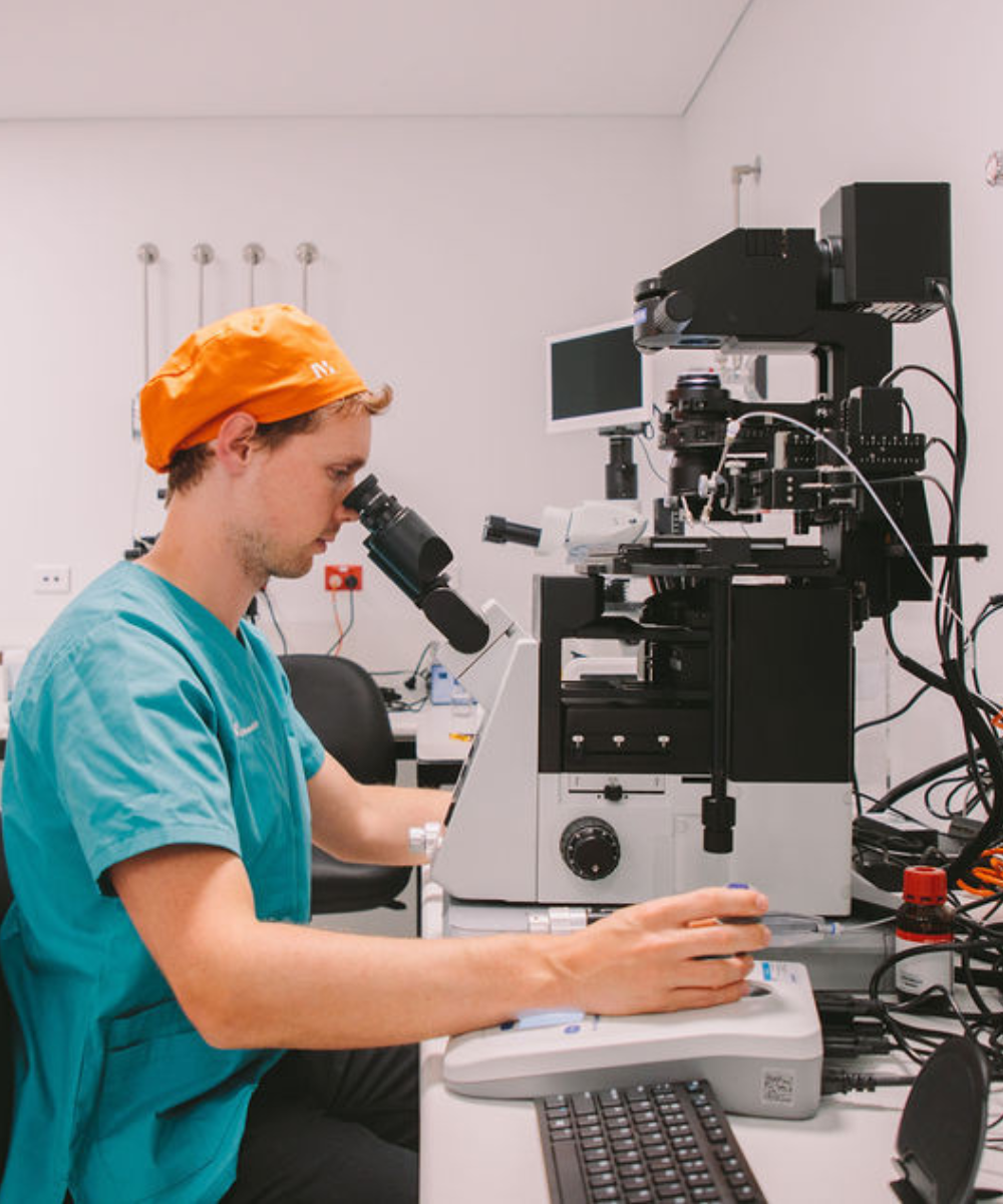 1 2025 11 17 000302 atza