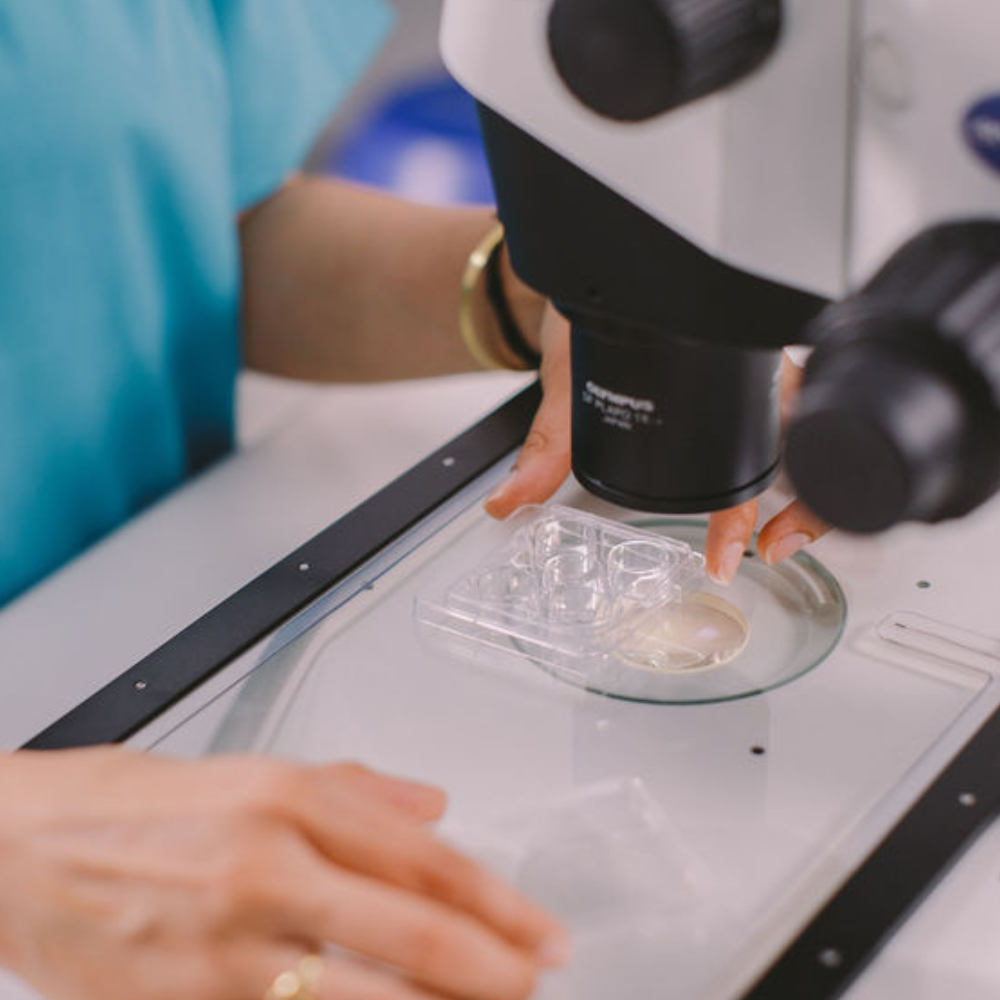 3 2025 11 17 000210 huvi