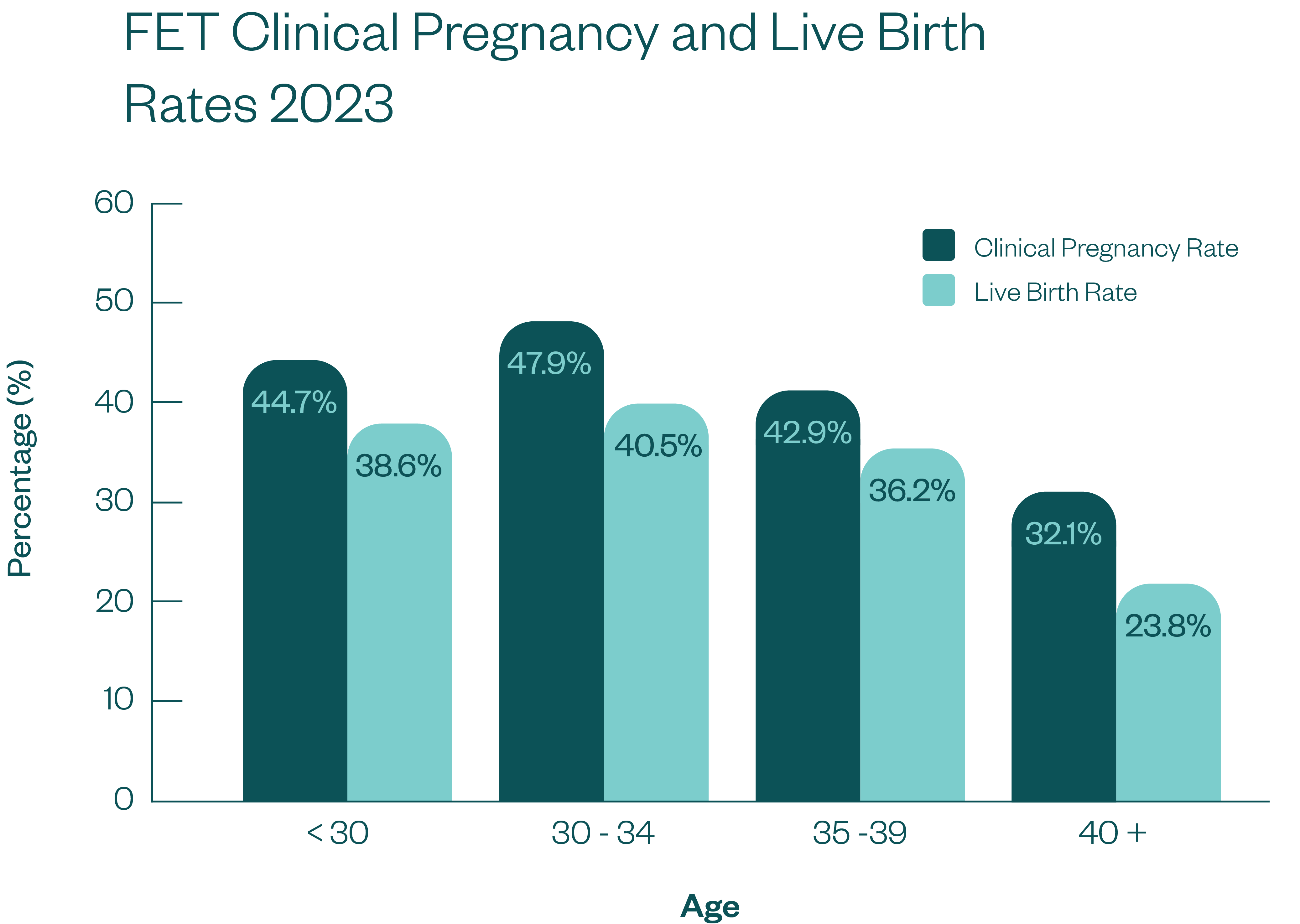 Frozen Embryo Transfer Success Rates