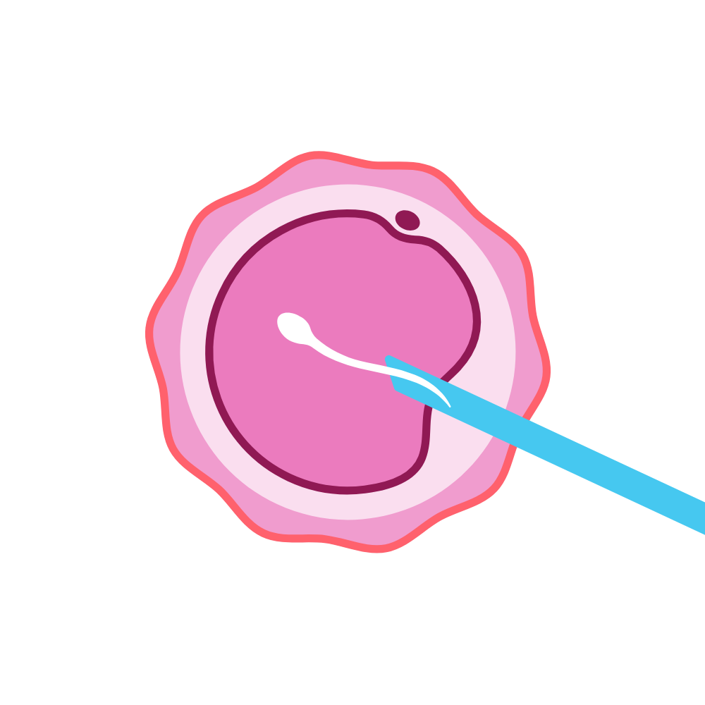 Egg evidence based ivf