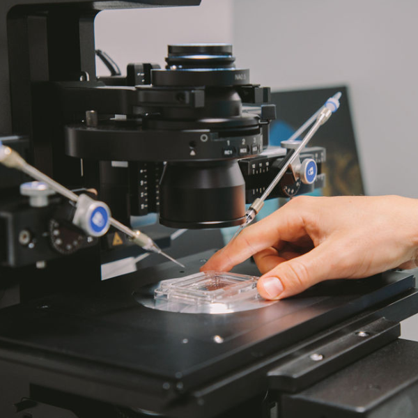 Ivf