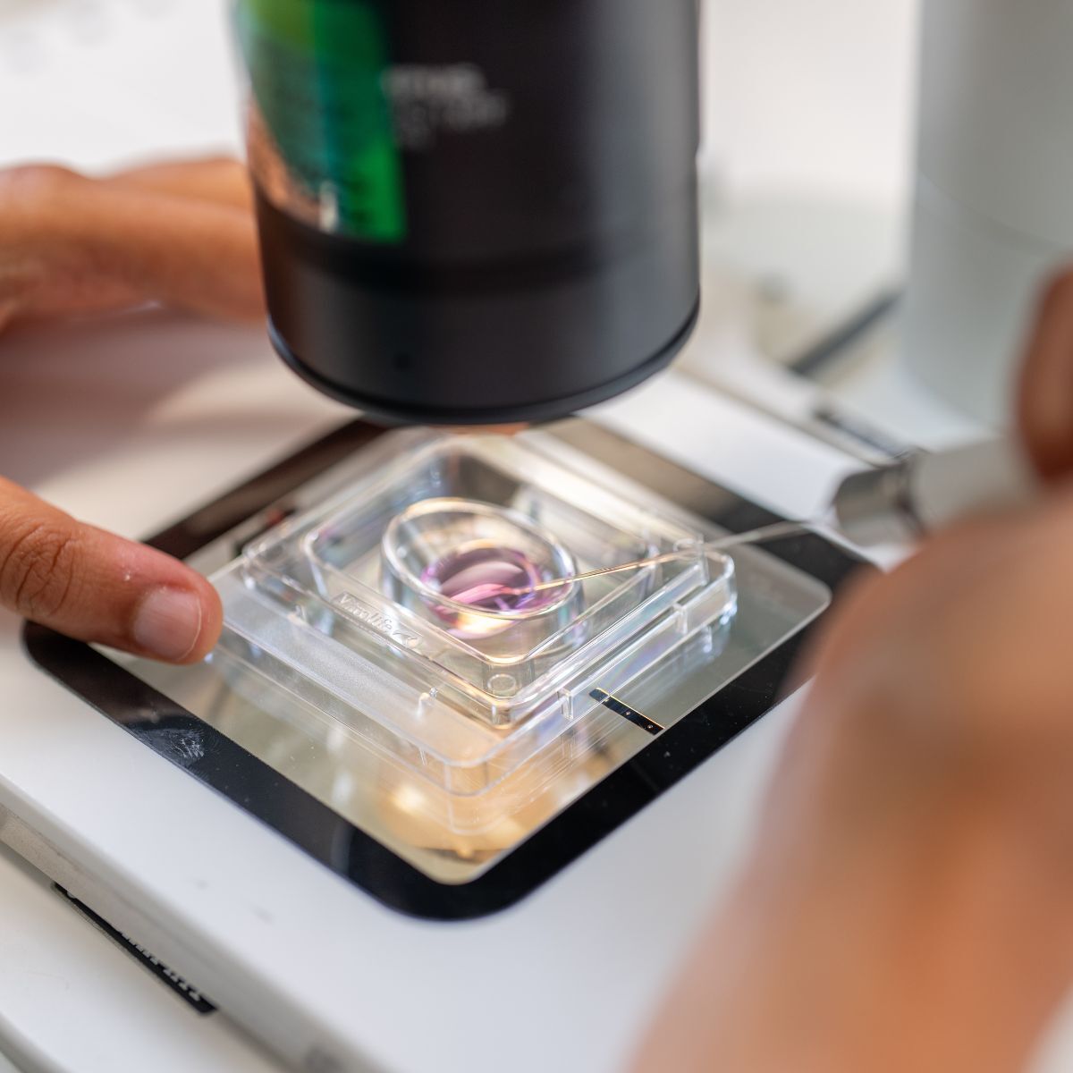 Lab needle microscope